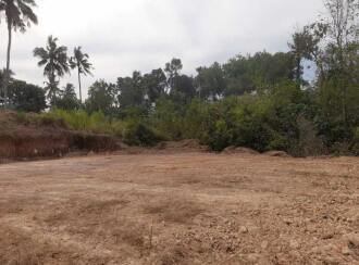 Residential Land for Sale in Kollam, Parippally, Kalluvathukkal, Near Marthoma church