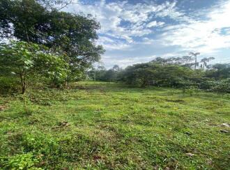 Residential Land for Sale in Kottayam, Changanassery, Madappally, PERUMAVU KARUKANDAM ROAD