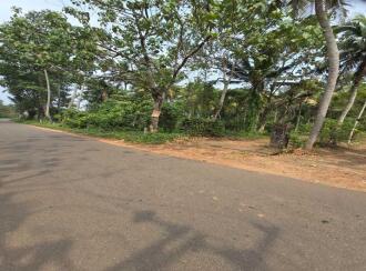 Residential Land for Sale in Kottayam, Changanassery, Madappally, PERUMAVU KARUKANDAM ROAD