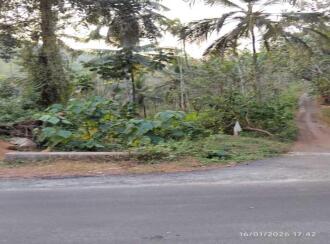 Residential Land for Sale in Kannur, Kuthuparamba, Kolayad, Vayannur