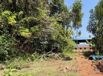 Residential Land for Sale in Thrissur, Kunnamkulam, Kunnamkulam Town, marathamcode