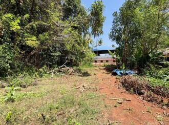 Residential Land for Sale in Thrissur, Kunnamkulam, Kunnamkulam Town, marathamcode