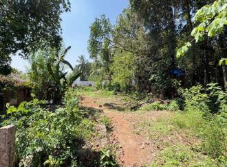 Residential Land for Sale in Thrissur, Kunnamkulam, Kunnamkulam Town, marathamcode