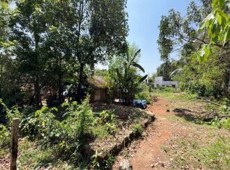 Residential Land for Sale in Thrissur, Kunnamkulam, Kunnamkulam Town, marathamcode