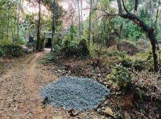 Residential Land for Sale in Kannur, Kannur, Elayavoor, MAYYALAPEEDIKA