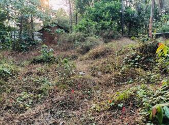 Residential Land for Sale in Kannur, Kannur, Elayavoor, MAYYALAPEEDIKA