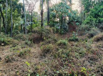 Residential Land for Sale in Kannur, Kannur, Elayavoor, MAYYALAPEEDIKA