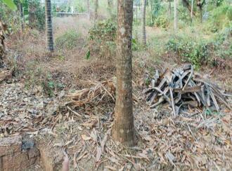 Residential Land for Sale in Kannur, Kannur, Elayavoor, MAYYALAPEEDIKA