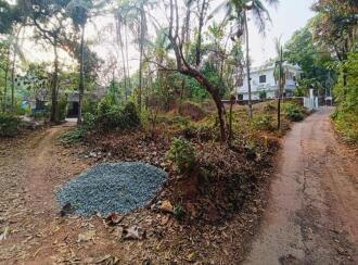 Residential Land for Sale in Kannur, Kannur, Elayavoor, MAYYALAPEEDIKA