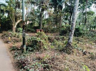Residential Land for Sale in Kannur, Kannur, Elayavoor, MAYYALAPEEDIKA