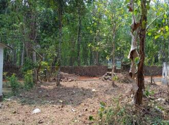 Residential Land for Sale in Kottayam, Changanassery, Karukachal, Nedumkunnam
