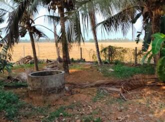 Residential Land for Sale in Alleppey, Kuttanad, Mamkomb, East of KWA Kidangara