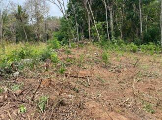 Residential Land for Sale in Trivandrum, Thiruvananthapuram, Kowdiar, Kowdiar Palace
