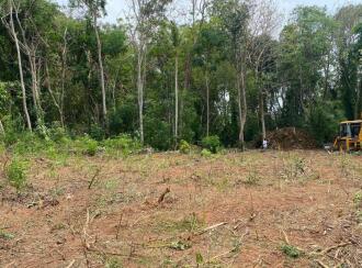 Residential Land for Sale in Trivandrum, Thiruvananthapuram, Kowdiar, Kowdiar Palace