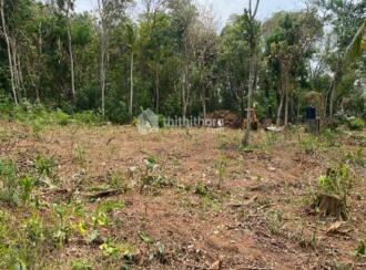 Residential Land for Sale in Trivandrum, Thiruvananthapuram, Kowdiar, Kowdiar Palace