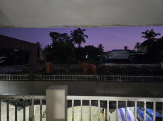 Residential Apartment for Sale in Thrissur, Thrissur, Viyyoor