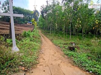 Residential Land for Sale in Kottayam, Pala, Manathoor, St.Mary's church Manathoor