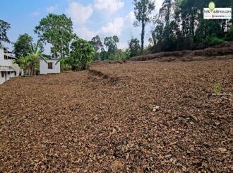 Residential Land for Sale in Kottayam, Pala, Manathoor, St.Mary's church Manathoor