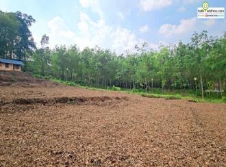 Residential Land for Sale in Kottayam, Pala, Manathoor, St.Mary's church Manathoor