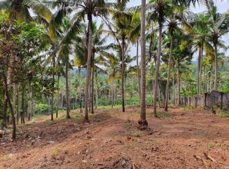 Residential Land for Sale in Trivandrum, Thiruvananthapuram, Aakkulam, Karottuvila -Alathara Tar road near upcoming Sobha Medows