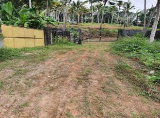 Residential Land for Sale in Trivandrum, Thiruvananthapuram, Aakkulam, Karottuvila -Alathara Tar road near upcoming Sobha Medows