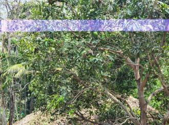 Commercial Land for Sale in Trivandrum, Thiruvananthapuram, Medical College, Prasanth Nagar, Near Ulloor Junction