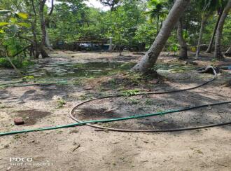 Residential Land for Sale in Alleppey, Cherthala, Thuravoor