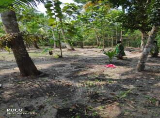 Residential Land for Sale in Alleppey, Cherthala, Thuravoor