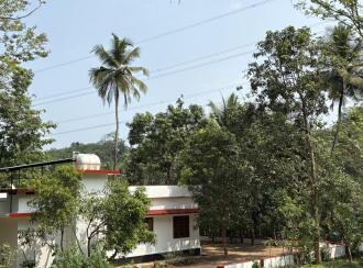 Agricultural Land for Sale in Kozhikode, Thamarassery, Kodenchery, Kanjirad