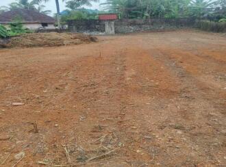 Residential Land for Sale in Ernakulam, Aluva, Kadungalloor, Muppathadam
