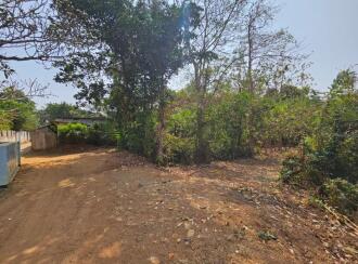 Residential Land for Sale in Palakkad, Palakkad, Parli