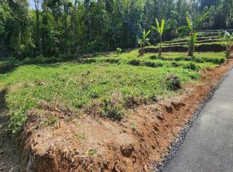 Residential Land for Sale in Kottayam, Kanjirapally, Koovappally, Kooramthook-Subramania Swami Temple