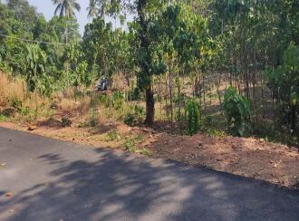 Residential Land for Sale in Kollam, Kottarakkara, Valakom, Punekkadu -Church
