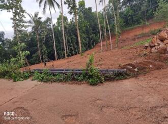 Residential Land for Sale in Kollam, Kottarakkara, Valakom, Punekkadu -Church