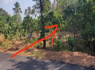 Residential Land for Sale in Kollam, Kottarakkara, Valakom, Punekkadu -Church