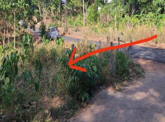 Residential Land for Sale in Kollam, Kottarakkara, Valakom, Punekkadu -Church