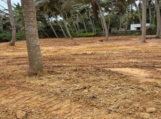 Residential Land for Sale in Trivandrum, Thiruvananthapuram, Nemom, Pappanamcode