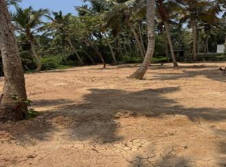 Residential Land for Sale in Trivandrum, Thiruvananthapuram, Nemom, Pappanamcode