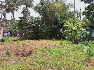 Residential Land for Sale in Alleppey, Haripad, Haripad, Haripad, near Govt. Girls’ High School.