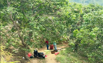 Residential Land for Sale in Kozhikode, Thamarassery, Kodenchery, Chembukadavu near Knwledee city