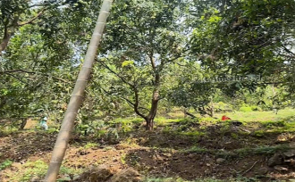 Residential Land for Sale in Kozhikode, Thamarassery, Kodenchery, Chembukadavu near Knwledee city