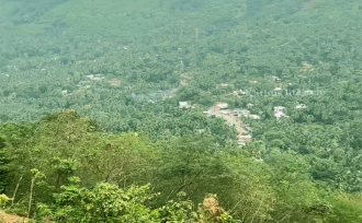 Residential Land for Sale in Kozhikode, Thamarassery, Kodenchery, Chembukadavu near Knwledee city