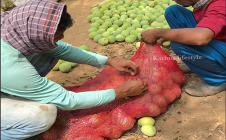 Residential Land for Sale in Kozhikode, Thamarassery, Kodenchery, Chembukadavu near Knwledee city