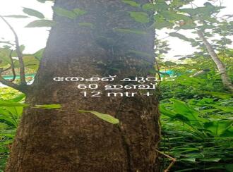 Residential House Villa for Sale in Pathanamthitta, Pathanamthitta, Kumbazha, Myladupara (via Kumbazha),