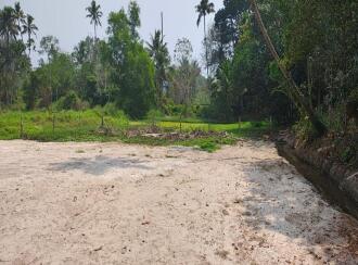 Residential Land for Sale in Alleppey, Cherthala, Cherthala town