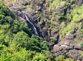 Agricultural Land for SaleIdukki, Peerumade, Elappara