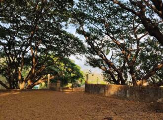 Residential Land for SalePalakkad, Alathur, Mangalam dam