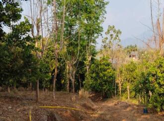 Residential Land for Sale in Palakkad, Alathur, Mangalam dam, Mangalam Dam