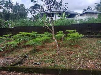 Residential Land for Sale in Ernakulam, Chottanikkara, Chottanikkara, Near Samskriti Residence