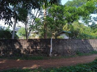 Residential Land for Sale in Ernakulam, Chottanikkara, Chottanikkara, Near Samskriti Residence